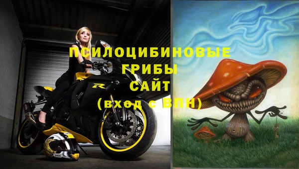 МДПВ Армянск