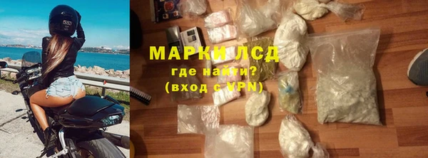 стаф Арсеньев
